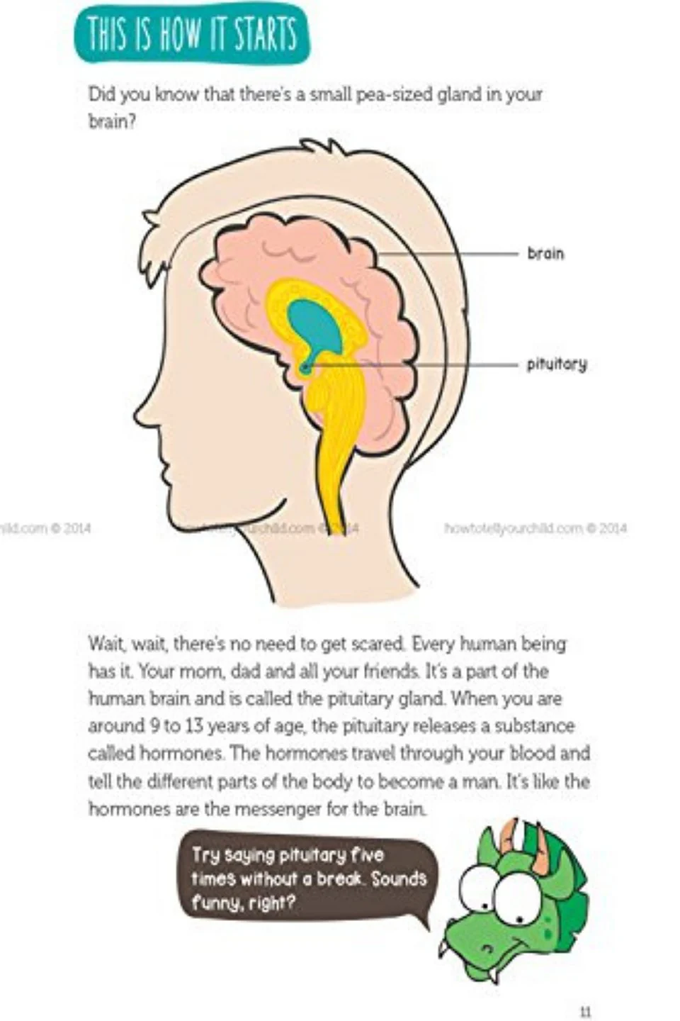 Puberty Guide For Boys - Image 4